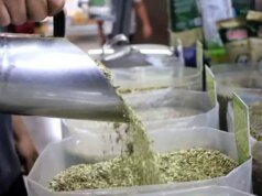 蘇爾馬託大區的身份和本地生產的挑戰