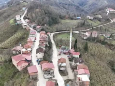 7公尺之隔…一分鐘改變早餐時間! – 來自沙烏地阿拉伯的新聞