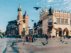 克拉科夫決定不費一槍一彈就減少鴿群 – 沙烏地阿拉伯新聞