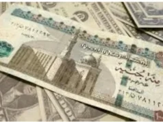 12.74 英鎊,沙烏地阿拉伯裡亞爾在埃及的價格 – 沙烏地阿拉伯新聞