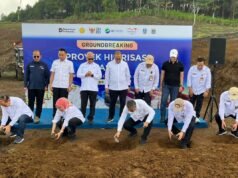 農業部:已啟動六地區雞綜合整治工作