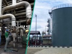 NMDPRA 報告:丹格特煉油廠將掩蓋尼日利亞燃料供應模組化煉油廠進口