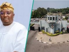 FG 但將釋放 3000 億奈拉預算用於大學、教學醫院的太陽能發電