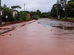 大坎普 1 月份的降雨量是 2025 年的三倍