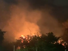 週日,8日,煙花在大坎普森林引發火災