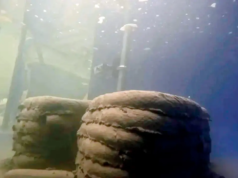 澳洲研究人員推出世界上第一台水下3D混凝土列印機