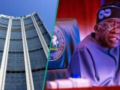 非洲開發銀行向尼日利亞提供新的 2 億美元小麥和大米貸款