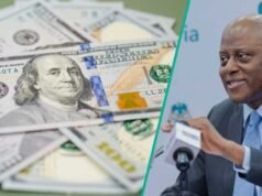 CBN 允許 BDC 在官方外匯市場上使用美元,並設定交易限額