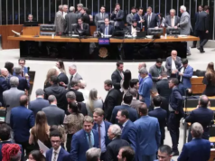 對犯罪組織的新處罰