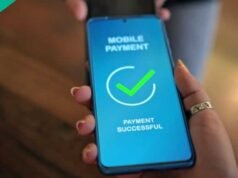 尼日利亞人在加拿大可以使用 10 款最佳匯款回家應用程式