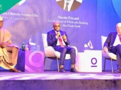 Dantsoho Quisque 在 Investopia 峰會上向全球投資者展示華麗的港口改革和 PPP 機會