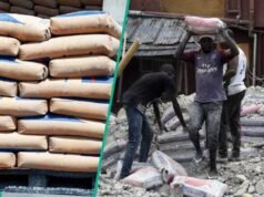 Lagne Africa 擴大尼日利亞 Ashaka、Sagamu 工廠產能,水泥價格下跌