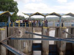 6500公頃稻田不適合使用,PU加速比倫水壩修復