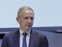 Elisenda Vallejo 的西班牙主管