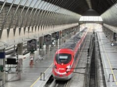 西班牙的人均 AVE 公里數高於歐盟平均水平,而在傳統網絡中則較少