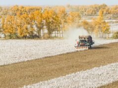 新疆棉產業對外技術開發