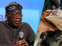 FarmerMoni 計劃申請連結開放,FG 報價 N300,000