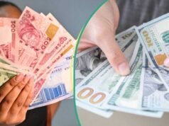 CBN 降息期間奈拉脆弱,美元大幅拋售