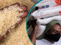 最終緩解:隨著尼日利亞各地食品通脹放緩,大米、豆類、加里價格下跌