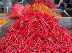 PIHPS:紅紅辣椒價格 IDR 88,600/kg,蛋 IDR 32,200/kg