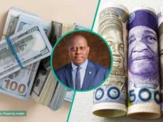 美元供應提振市場穩定,奈拉走強至 N1,351/美元