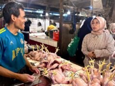 農業部:德波再也凱米里穆卡市場肉類和雞蛋價格穩定