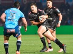 在洛夫特斯,鯊魚可以做的一切