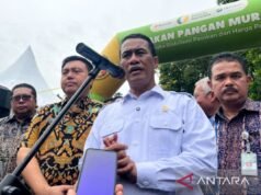 農業部長/卡巴巴帕納斯:印尼9種糧食作物已實現自給自足