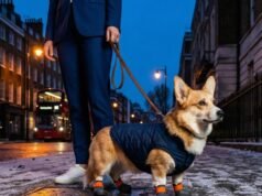 BARK & SOLE 推出客製化 3D 列印狗鞋