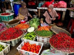 禁食第4天,紅辣椒價格IDR 68,836/kg,雞蛋IDR 31,889/kg