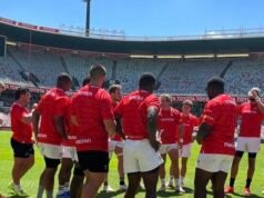 拯救獵豹免受經濟損失