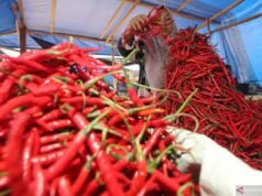 PIHPS:紅紅辣椒價格 IDR 82,950/kg,蛋 IDR 32,300/kg