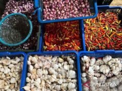 PIHPS:紅洋蔥價格 IDR 43,800/kg,紅紅辣椒 IDR 75,300/kg