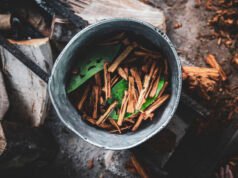 在小型臨床試驗中致幻性 DMT 是一種有效的抗憂鬱藥