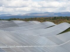 美國去年經歷了一次電池熱潮