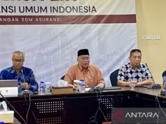 AAUI預計20%的保險投資股市只是可選的