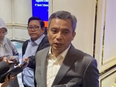 BTN 表示股息率較高,在 25-30% 範圍內