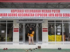 商務部:地方現代零售業拓展持續遵循規律