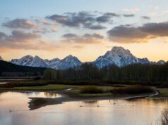 春季最佳西海岸肩部旅行