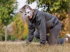 Therians 抵達 TransMilenio,這是許多用戶的反應 – Publimetro Columbia