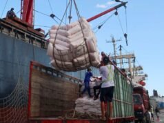 2026年補貼化肥發放情況