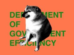 FCC 被指控“惡意”隱瞞 DOGE 信息