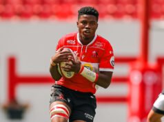 雄獅們渴望閃耀年輕的槍手