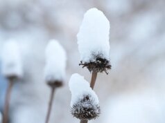 預計山區降雪量將超過一英尺