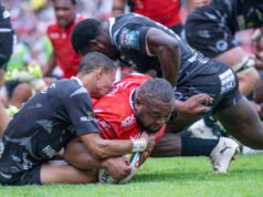 當鯊魚猛撲時,獅子仍在追捕