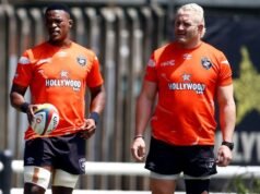 教練:獅子隊與鯊魚隊爭奪前八名