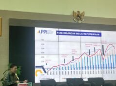 APPI揭示汽車金融業四類借款人