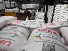 KKP 確保養魚戶輕鬆獲得補貼肥料