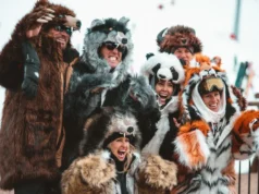 《創智贏家》亮相後,博爾德初創公司 Wildcoat 營收受到打擊