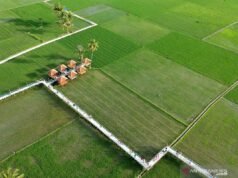 衛星眼中的糧食自給自足